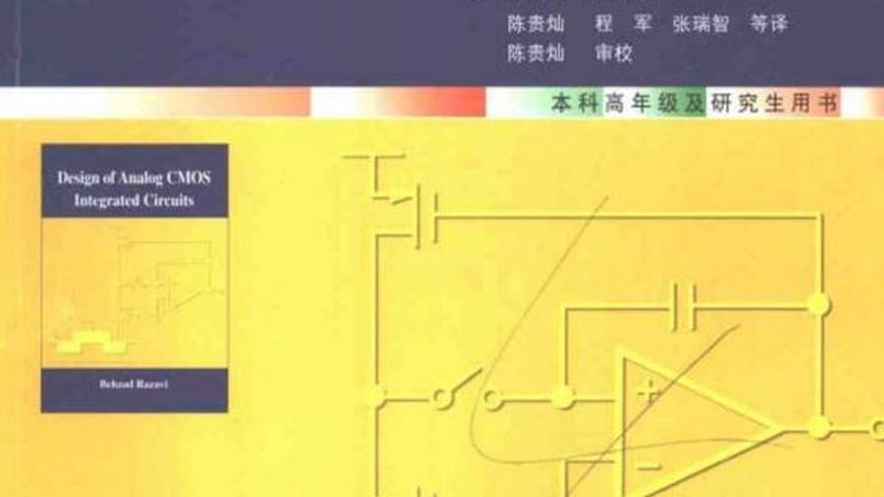 晶圆代工：揭秘行业的双刃剑